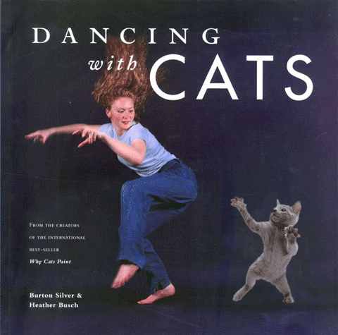 Dancing cat